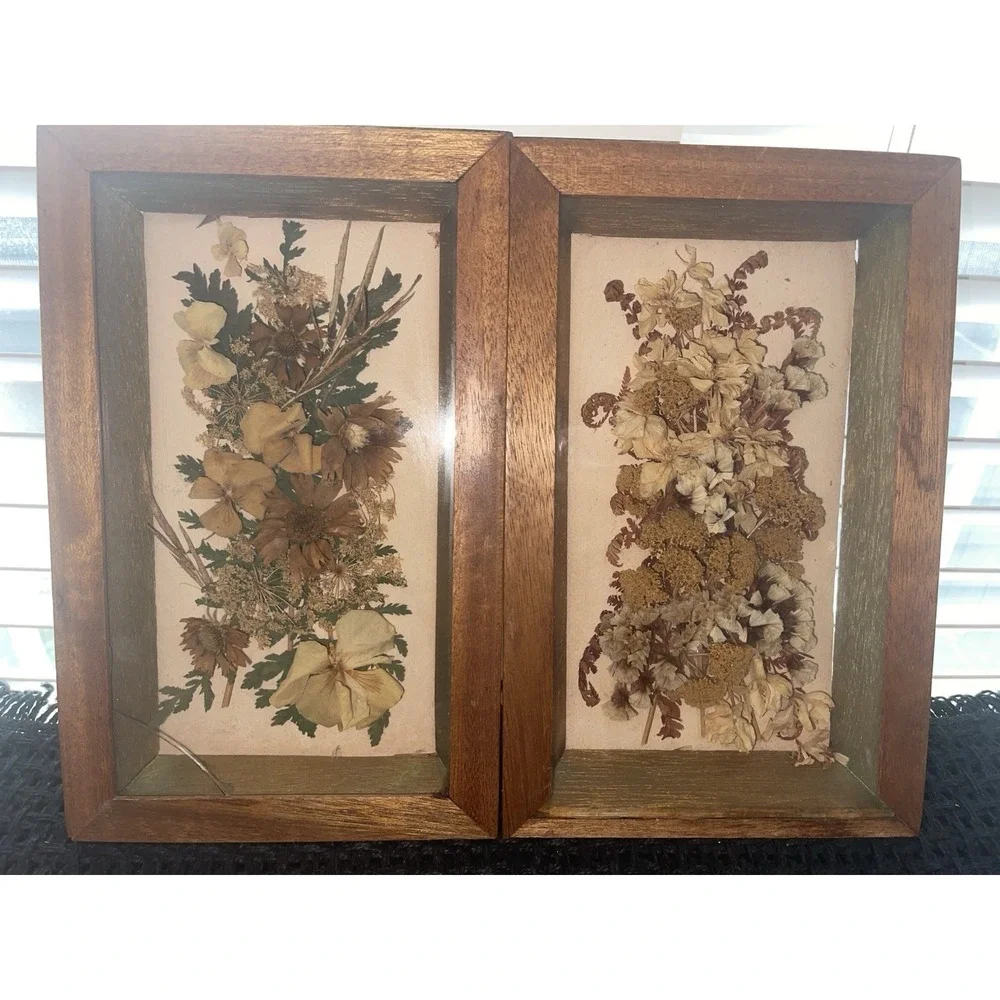 Vintage Dried Flowers Petals In Shadow Box Wood‎ Framed Wall Art Set of 2